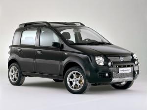 Fiat Panda 4x4 Monster 2006 года